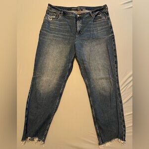 American Eagle Strigid Distressed Ankle Mom Jeans